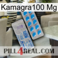 Kamagra100 Mg new15